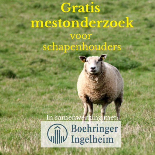 DAP Onstwedde
